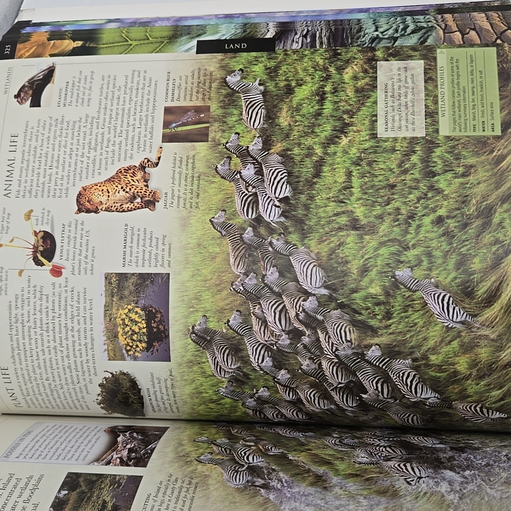 Smithsonian Earth Visual Guide - Picture 8 of 12